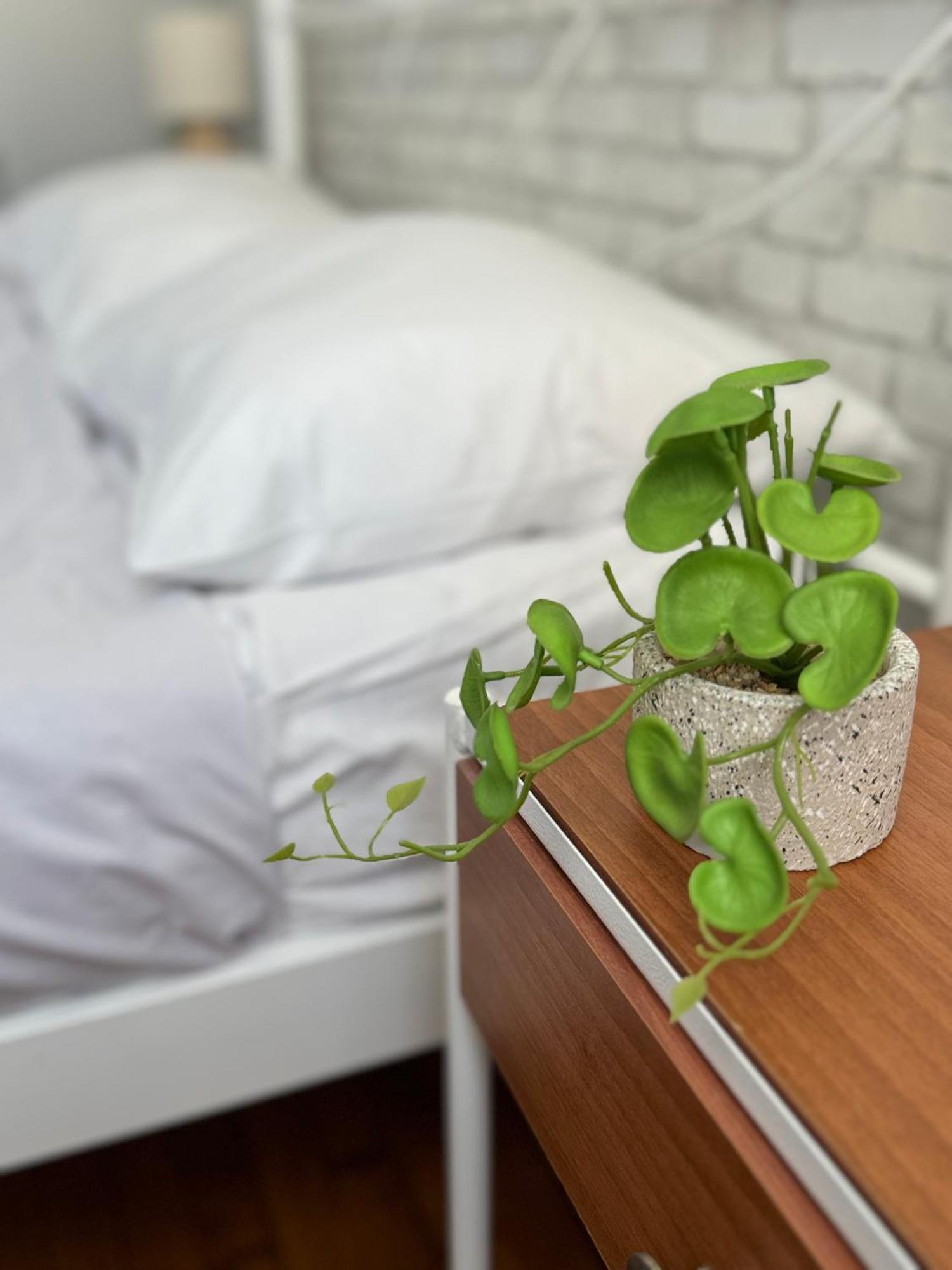 Cozy Suite With Acropolis View Atenas Exterior foto